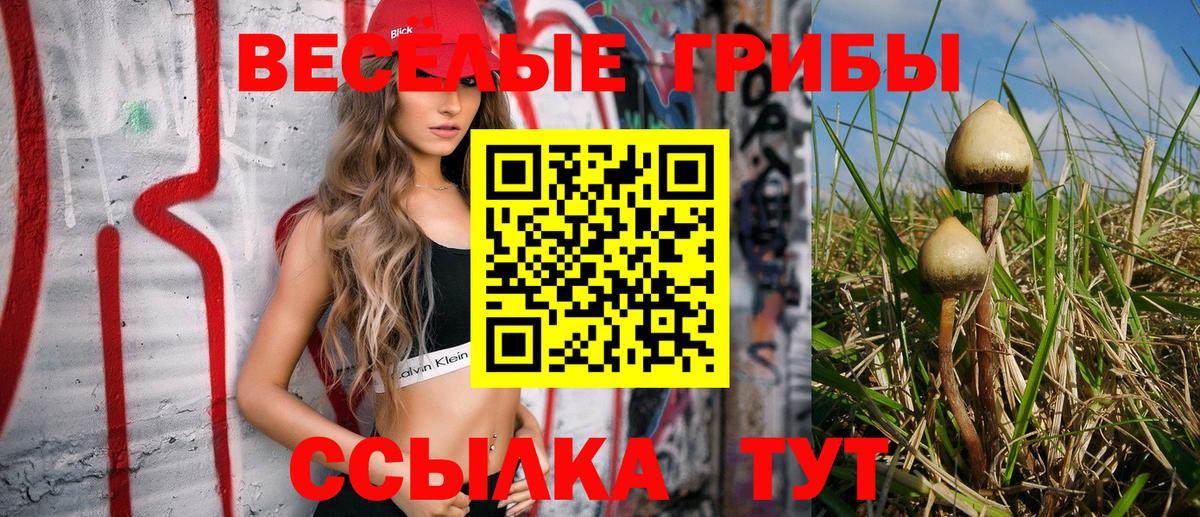 Галлюциногенные грибы прущие грибы  Вход с VPN  Петрозаводск 