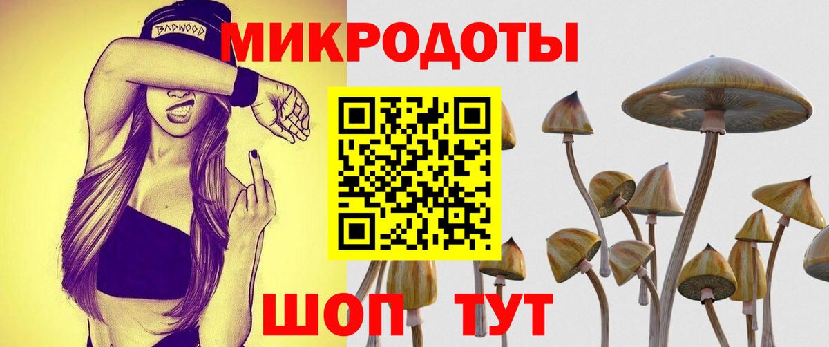 Псилоцибиновые грибы MAGIC MUSHROOMS Петрозаводск
